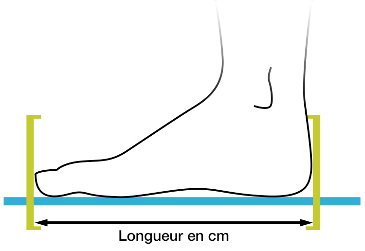 guide-des-tailles